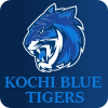 Kochi Blue Tigers Flag