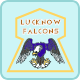Lucknow Falcons Flag