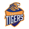 Hubli Tigers Flag