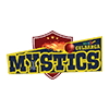 Gulbarga Mystics Flag