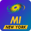 Mi New York Flag