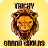 Trichy Grand Cholas Flag