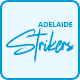 Adelaide Strikers Academy Flag