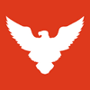 Sunrisers Hyderabad Flag
