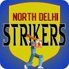 North Delhi Strikers Flag
