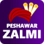 Peshawar Zalmi