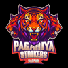 Pagariya Strikers Nagpur