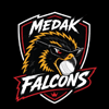 Medak Falcons Flag