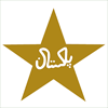 Pakistan Gold Flag