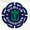Dublin Guardians Flag