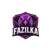 Fazilka Falcons